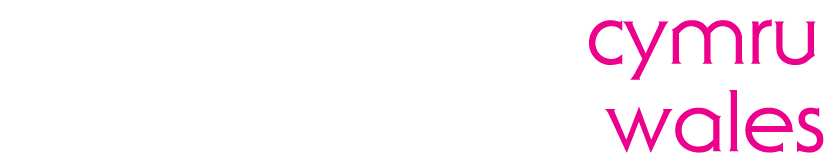 Student Finance Wales CMC logo